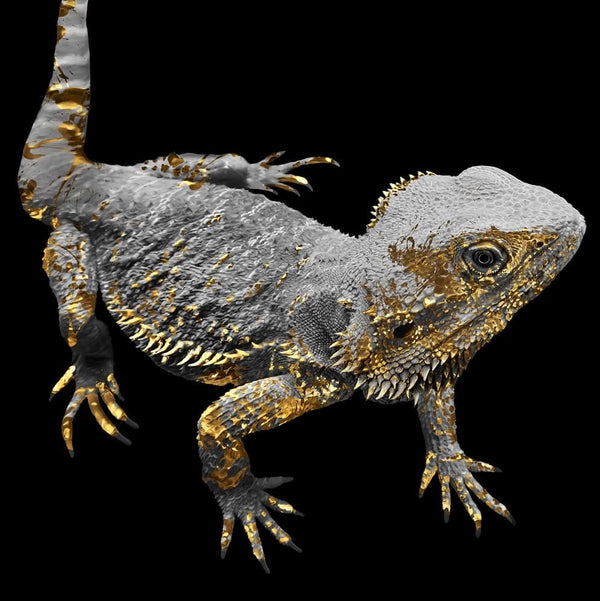 Handgemaltes Haustierportrait auf Acrylglas im Gold Stil