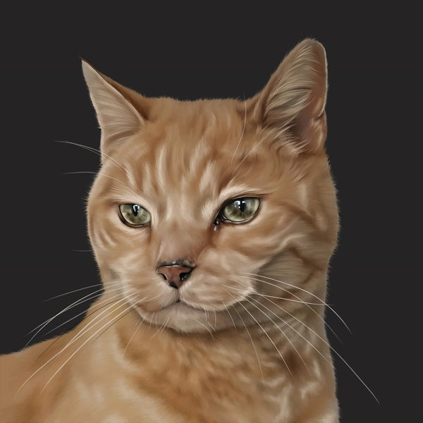 Handgemaltes Haustierportrait als Premium Fotodruck gerahmt im Realistischen Stil