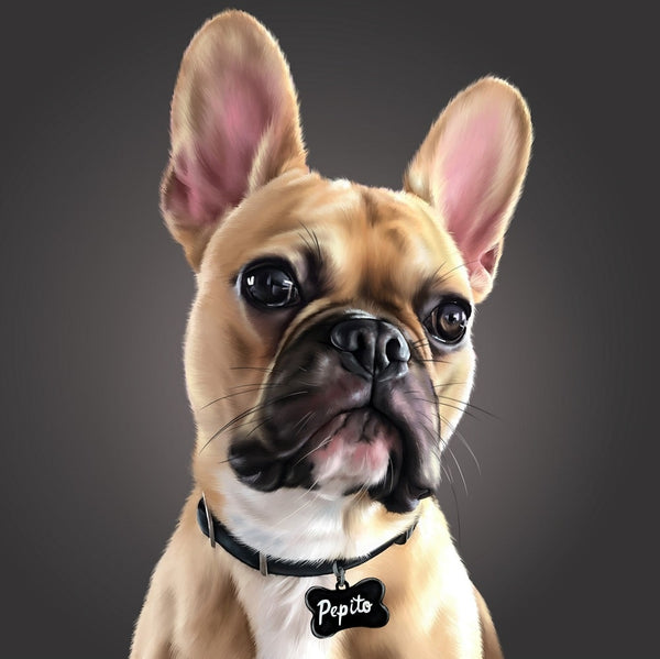 Handgemaltes Haustierportrait auf Premium Kuscheldecke im Realistischen Stil