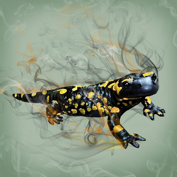 Handgemaltes Haustierportrait auf Premium Kuscheldecke im Smoke Stil