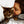 Handgemaltes Haustierportrait auf Premium Kuscheldecke im Wasserfarben Stil
